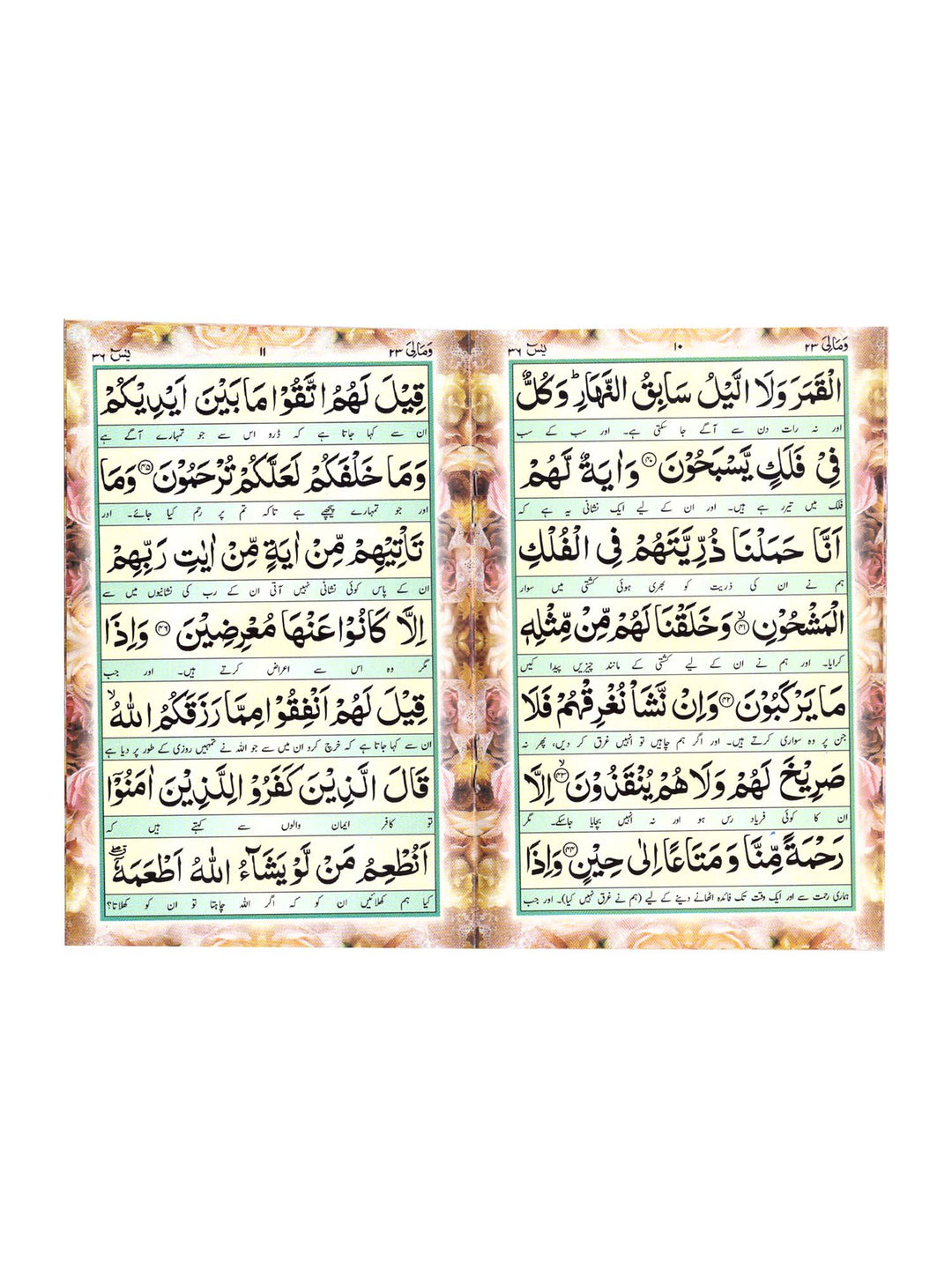 Surah Yaseen with Urdu Translation (110)